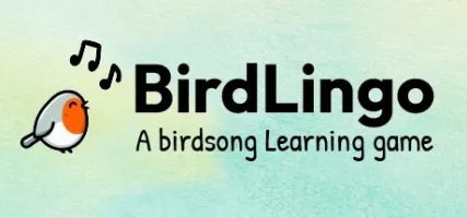 BirdLingo: A birdsong learning game