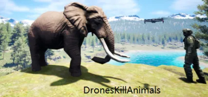 DronesKillAnimals