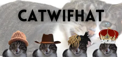 Catwifhat