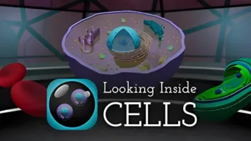 Looking Inside: Cells