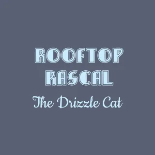 Rooftop Rascal: The Drizzle Cat