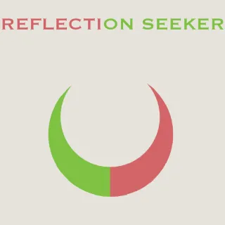 Reflection seeker