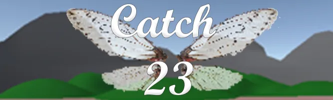 Catch 23