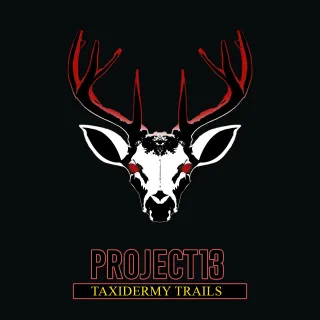 Project 13: Taxidermy