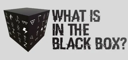 What is in the Black Box?