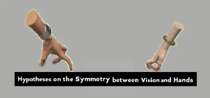 Hypotheses on the Symmetry between Vision and Hands