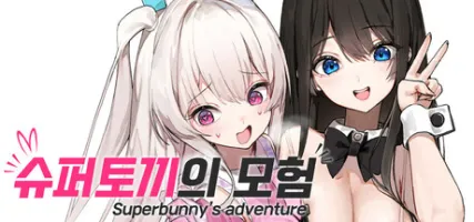 Superbunny's adventure