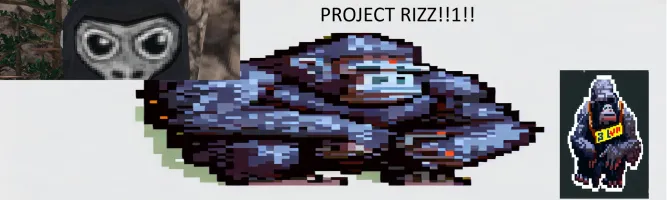 Project Rizz