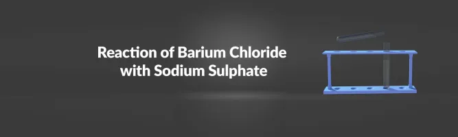 Reaction of Barium Chloride with Sodium Sulphate