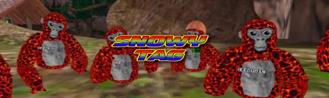 Snowy Tag