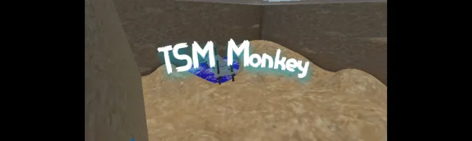 TSM Monkey