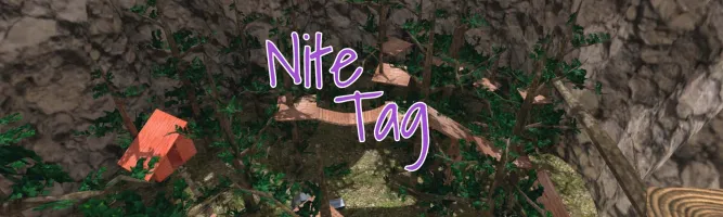 Nite Tag