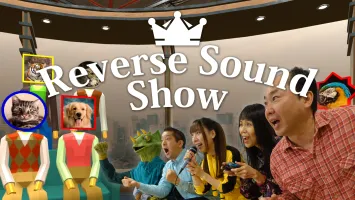Reverse Sound Show