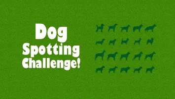 Dog Spotting Challenge!