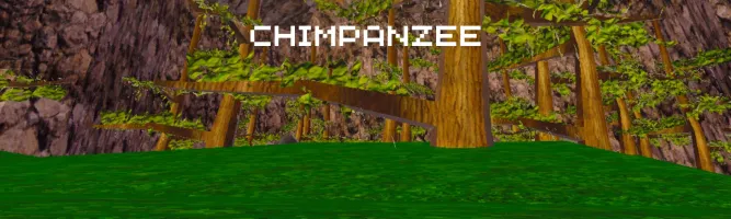 CHIMPANZEE