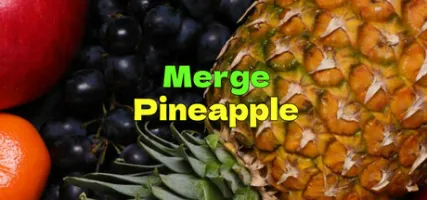 Merge Pineapple