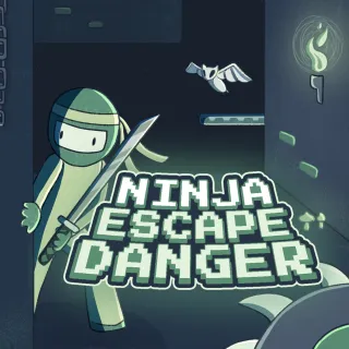 Ninja Escape Danger
