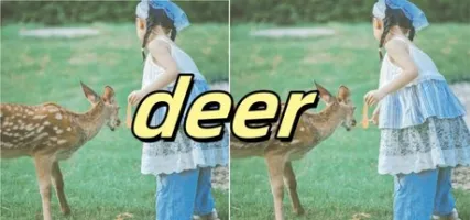 deer