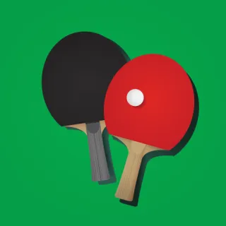 Ping Pong Club Table Tennis