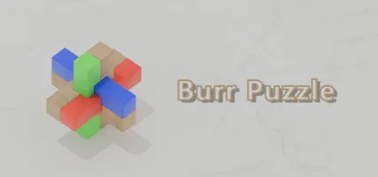 Burr Puzzle