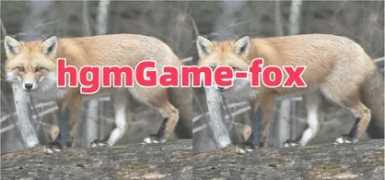 hgmGame-fox