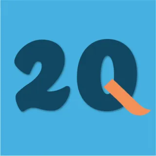 2Q - 20 Questions