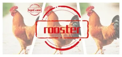 hgmGame-rooster