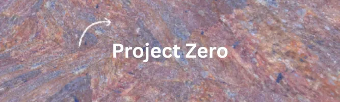 ProjectZeroPLT