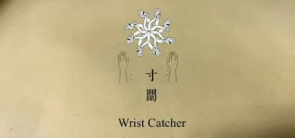 Wrist Catcher