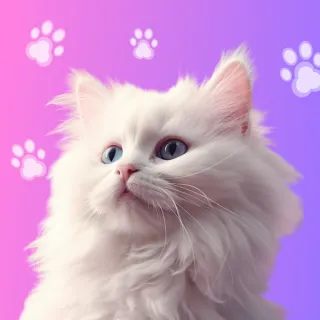 Cat Games for Cats & Pets App.