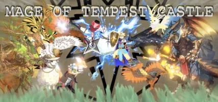 Mage of Tempest Castle