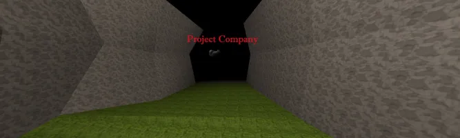 Project Company