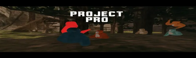Project Pro V3