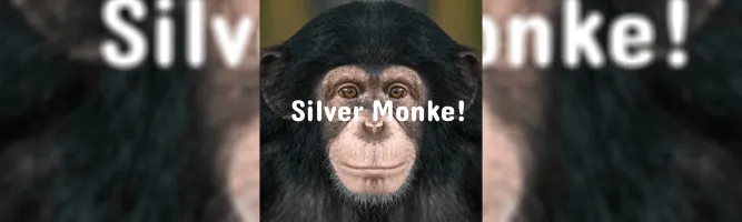 Silver Monke