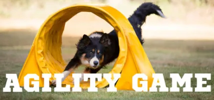 Agility Game
