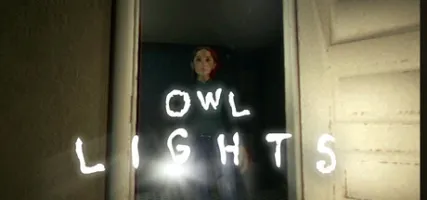 Owl Lights