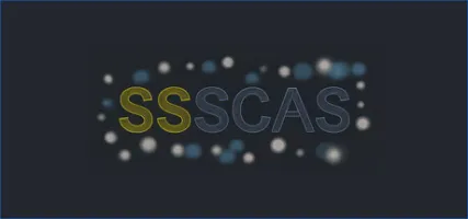 Scientific Software Solutions Capital Account System