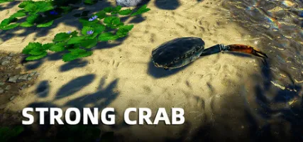 Strong Crab