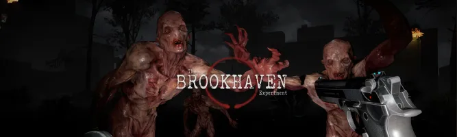 The Brookhaven Experiment