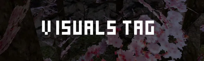 Visuals Tag