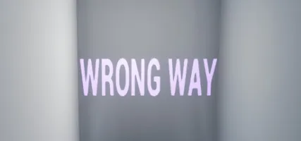 WRONG WAY