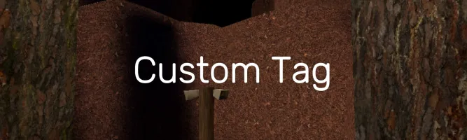 Custom Tag