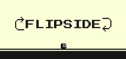 Flipside