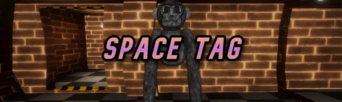 Space Tag