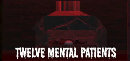 Twelve Mental Patients