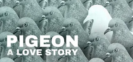 Pigeon: A Love Story