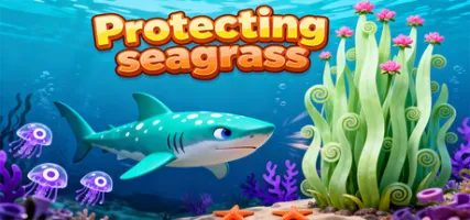 Protecting seagrass