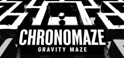Chronomaze: Gravity Maze