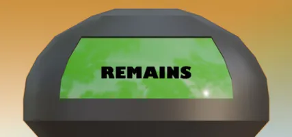Remains