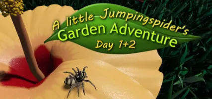 A little Jumpingspider's Garden Adventure Day 1 2